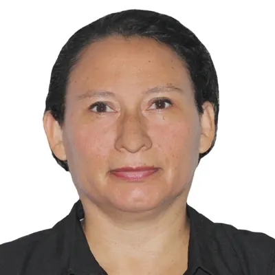 Mara Yecenia Pereira Aguirre, Docente Innovador